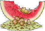melon07.gif